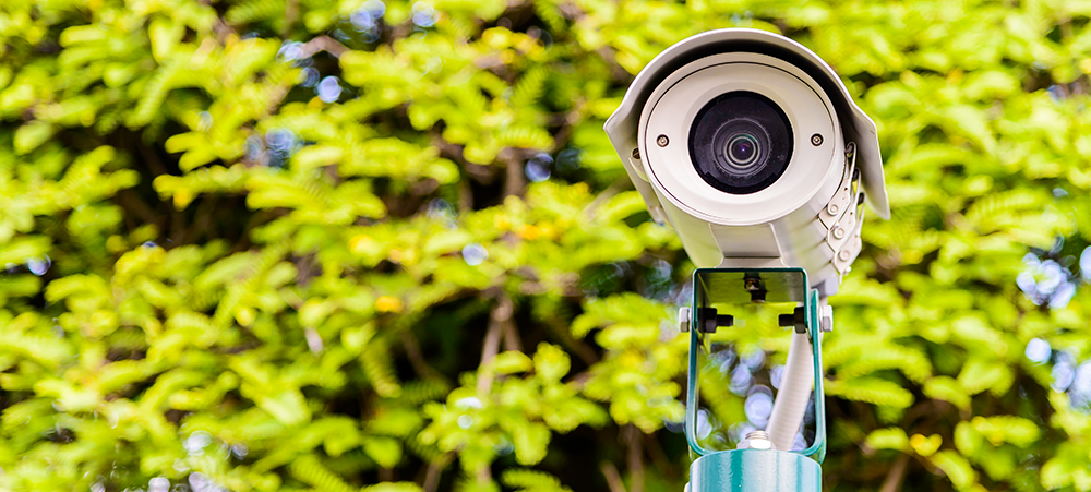 Sécurité des collaborateurs et des visiteurs