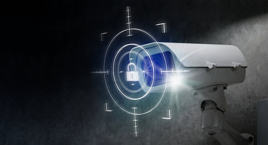 VIDEOSURVEILLANCE PROFESSIONNELLE